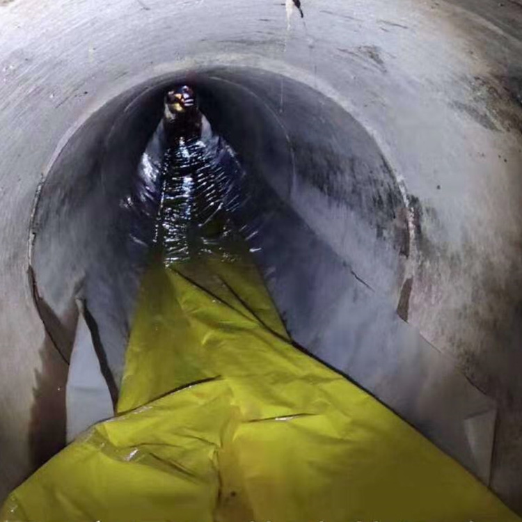 龙文管道光固化修复